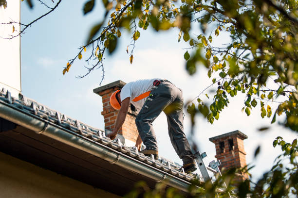 Best Roof Gutter Cleaning  in Taunton, MA